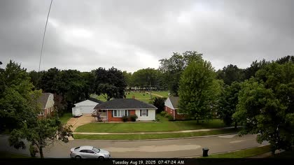 2025-08-19