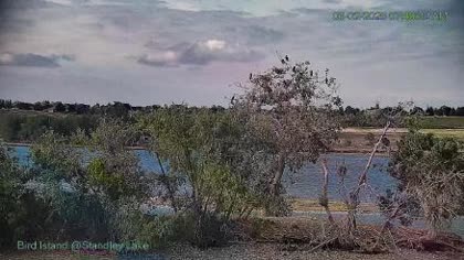 2026-06-02