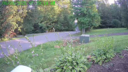 2025-06-09