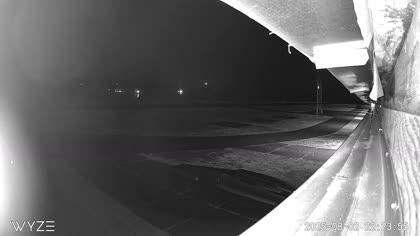 2025-08-03