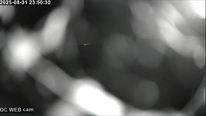 2025-09-01