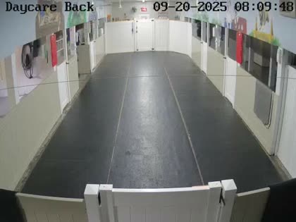 2025-09-20