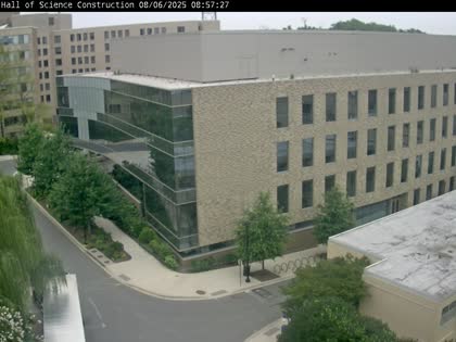 2025-08-06