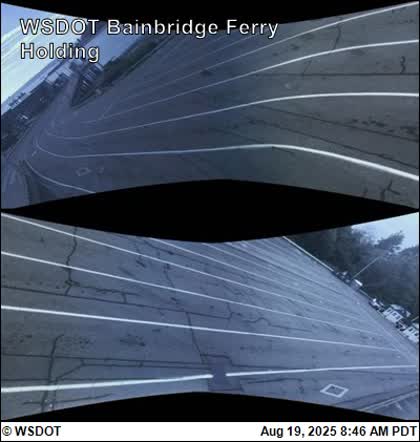 2025-08-19