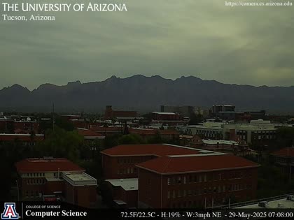 2025-05-29