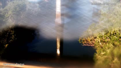 2025-06-29