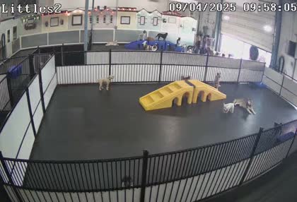 2025-09-04