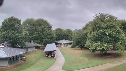 2025-08-04