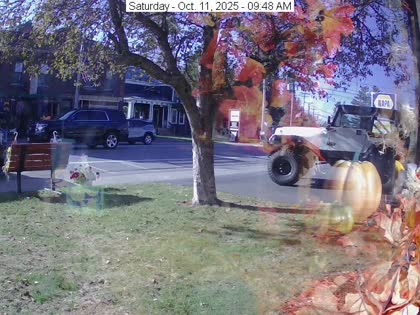 2025-10-11