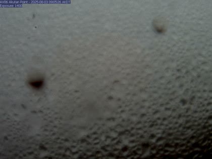 2025-08-03