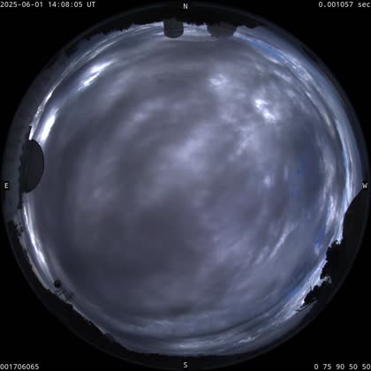 2025-06-01