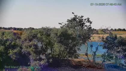 2026-07-15