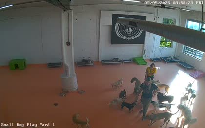 2025-09-05