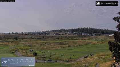 2025-08-05