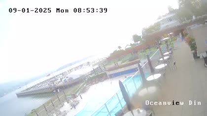 2025-09-01