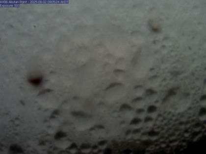 2025-08-02