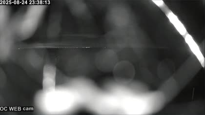 2025-08-25