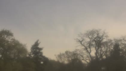 2025-05-01