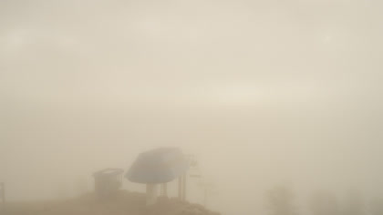 2025-10-11