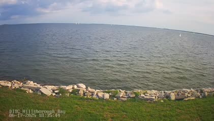 2025-06-19
