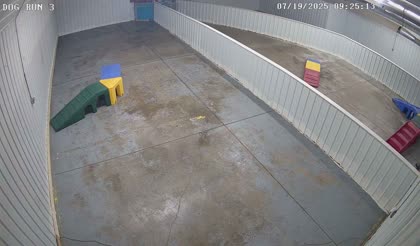 2025-07-19