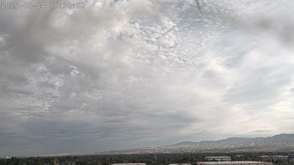 2025-08-04