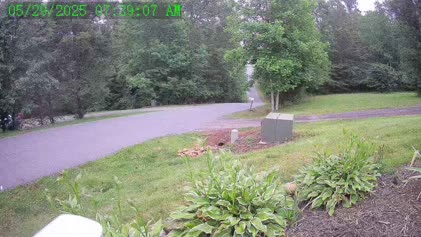 2025-05-29