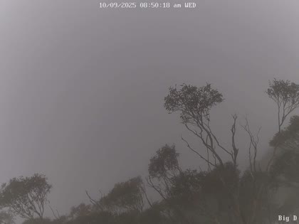 2025-09-10