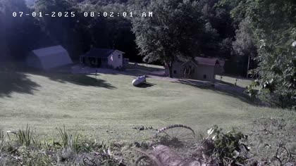2025-07-01