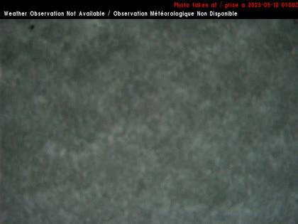 2025-05-10