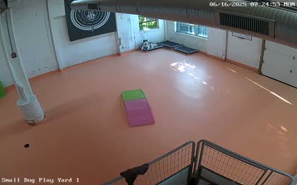 2025-06-16