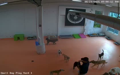 2025-08-21