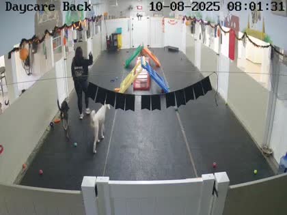 2025-10-08