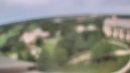 2025-06-11