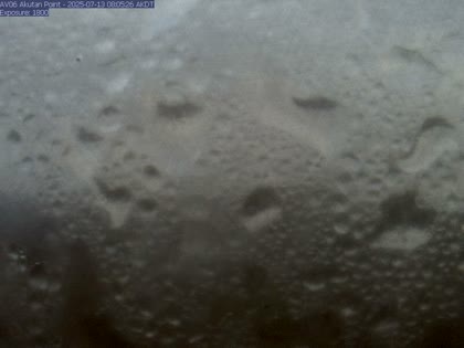 2025-07-13