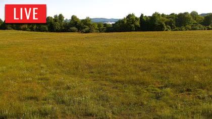 2026-05-15