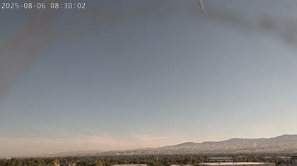 2025-08-06