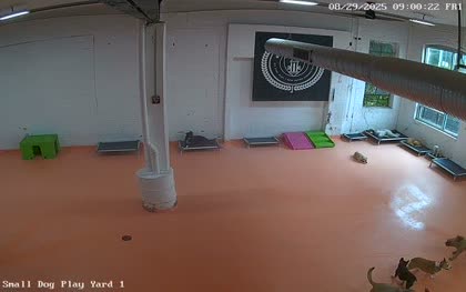 2025-08-29