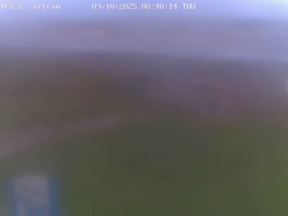 2025-10-08