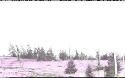 2025-05-12