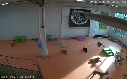 2025-09-30