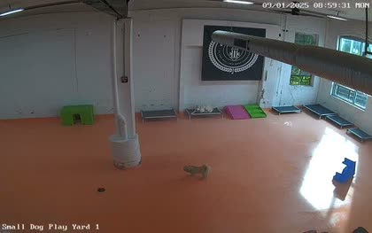 2025-09-01