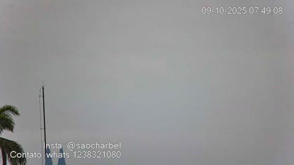2025-10-09
