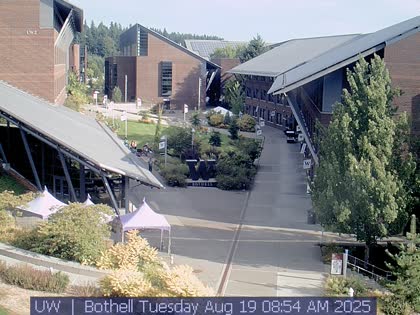 2025-08-19