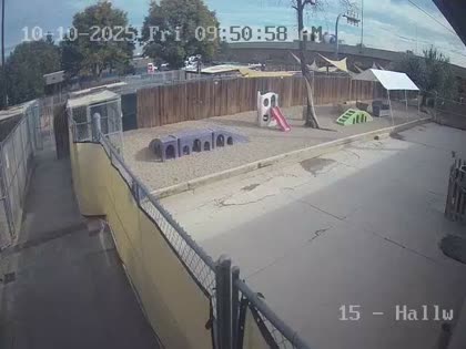 2025-10-10