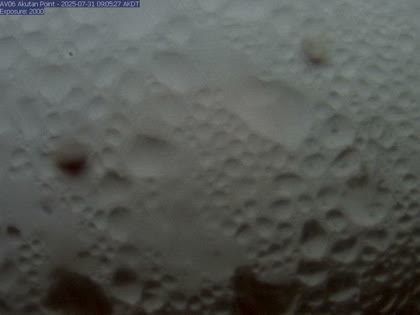 2025-07-31
