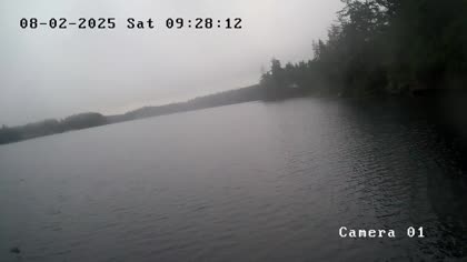2025-08-02