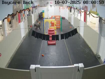2025-10-07