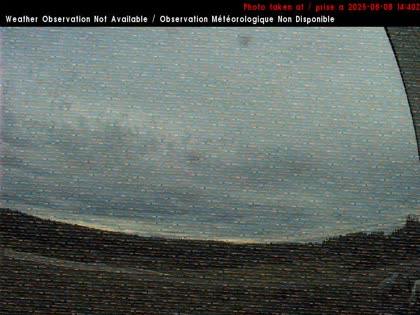 2025-08-08