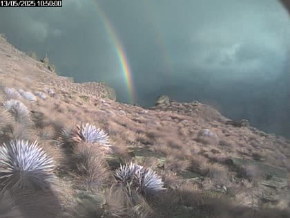 2025-05-12